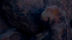 Tesla Cybertruck reduce su precio a $62,000 dólares.