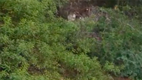 Toyota C-HR 2026 serpa vendido como nuevo eléctrico.