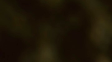 Robotaxi Waymo deteniéndose en paso peatonal escolar con niños cruzando, enfatizando seguridad en zonas vulnerables.