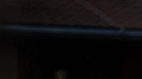 Bugatti Veyron Super Sport World Record Edition es un auto histórico