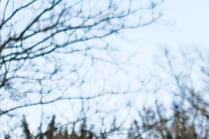 Bugatti Veyron Super Sport World Record Edition fue restaurado.