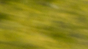 Acura NSX 1991 rojo en movimiento frontal, faros agresivos y spoiler en carretera abierta, icono de superdeportivos 90s.