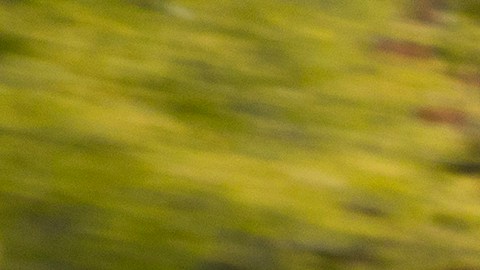 Acura NSX 1991 rojo en movimiento frontal, faros agresivos y spoiler en carretera abierta, icono de superdeportivos 90s.