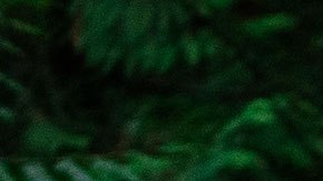 Toyota Tundra TRD Pro 2020.