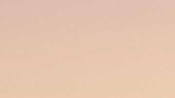 Ford Mustang Dark Horse SC rojo con paquete Track Pack, vista lateral al atardecer, alerón trasero y diseño aerodinámico, muscle car moderno de alto desempeño.