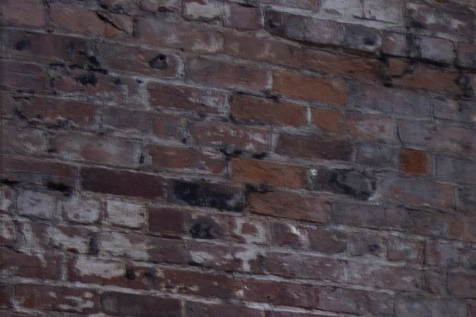 Ford Mustang EcoBoost TLD Signature Edition 2026 por Troy Lee Designs tiene detalles únicos.