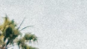 Modelos Porsche Carrera RS 964, 993, 356 B y GT3 996 en Air Water Show California 2025.