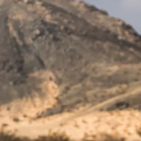 Toyota Corolla AWDROLA saltando dunas en rally off-road Mint 400 extremo.