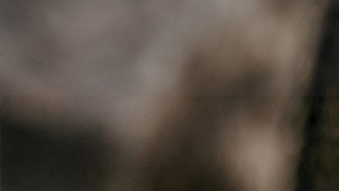 Dodge Charger R/T 2026 tiene dos versiones de dos y cuatro puertas.