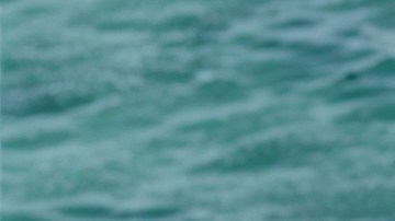 Ferrari Amalfi Spider tiene su motor V8 biturbo.