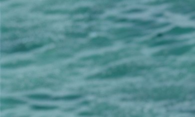 Ferrari Amalfi Spider tiene su motor V8 biturbo.