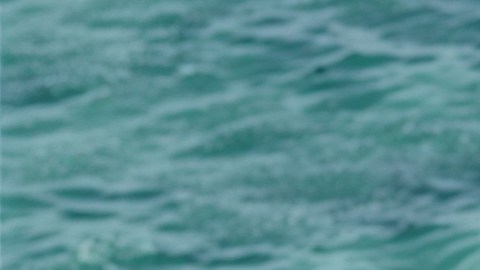 Ferrari Amalfi Spider tiene su motor V8 biturbo.