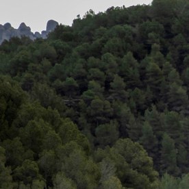 Golf GTI W12 650, Roadster y Design Vision GTI, deportivos Volkswagen 2026 en acción.