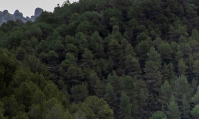 Golf GTI W12 650, Roadster y Design Vision GTI, deportivos Volkswagen 2026 en acción.