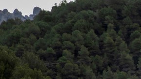 Golf GTI W12 650, Roadster y Design Vision GTI, deportivos Volkswagen 2026 en acción.