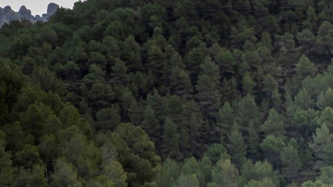 Golf GTI W12 650, Roadster y Design Vision GTI, deportivos Volkswagen 2026 en acción.