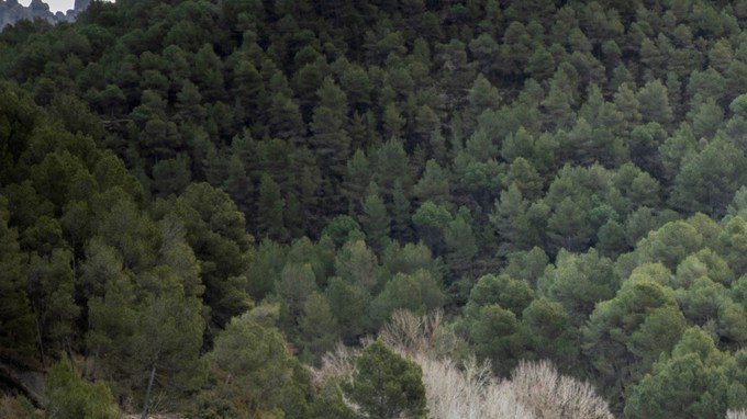 Golf GTI W12 650, Roadster y Design Vision GTI, deportivos Volkswagen 2026 en acción.