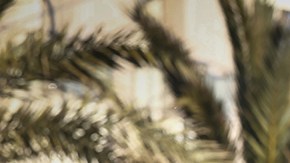 Jeep Gladiator Overland.