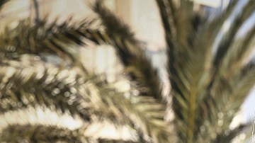 Jeep Gladiator Overland.