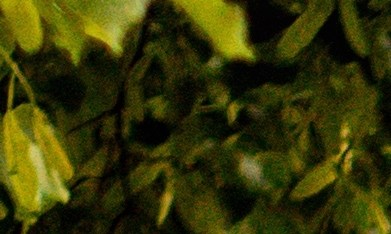 Coche rápido deportivo amarillo Ford Mustang fuera en la calle. Vista frontal del coche con capó y radiador.