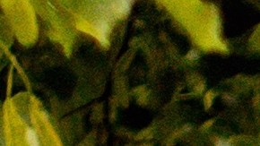 Coche rápido deportivo amarillo Ford Mustang fuera en la calle. Vista frontal del coche con capó y radiador.