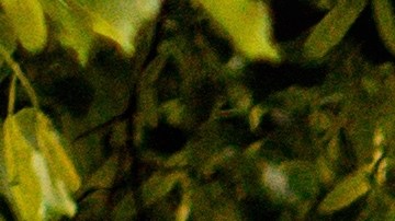 Coche rápido deportivo amarillo Ford Mustang fuera en la calle. Vista frontal del coche con capó y radiador.