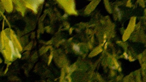 Coche rápido deportivo amarillo Ford Mustang fuera en la calle. Vista frontal del coche con capó y radiador.