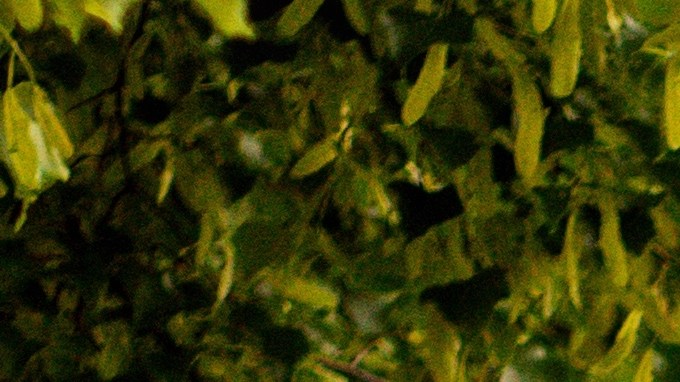 Coche rápido deportivo amarillo Ford Mustang fuera en la calle. Vista frontal del coche con capó y radiador.