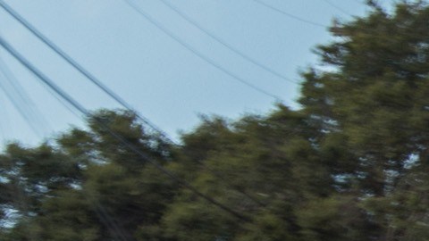 Porsche Track Experience en circuito Laguna Seca con autos deportivos en pista.