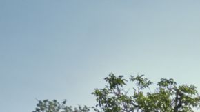 Porsche Cayenne S Electric 2026 tiene nuevos colores.