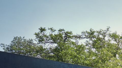 Porsche Cayenne S Electric 2026 tiene nuevos colores.