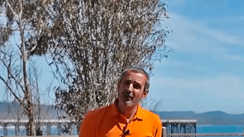 Audi Q3 2026 logra más rendimiento.