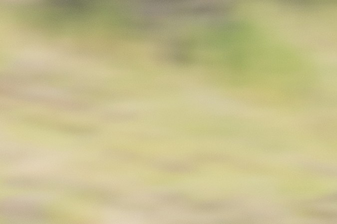 Audi Q3 2026 tiene mejor diseño.