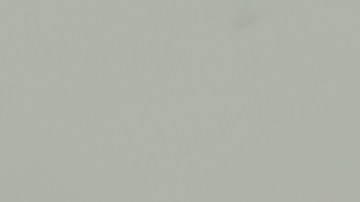 Fabricantes estadounidenses buscan evitar la llegada de autos chinos al país.