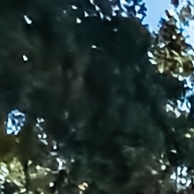 Dodge Adventurer de 1979 es una de las camionetas clásicas.