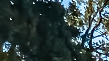 Dodge Adventurer de 1979 es una de las camionetas clásicas.