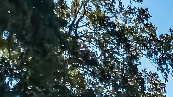 Dodge Adventurer de 1979 es una de las camionetas clásicas.