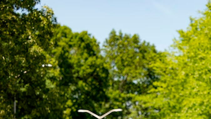Las cámaras de vigilancia Flock Safety usan IA.