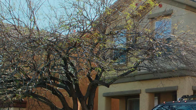 Caterpillar Cat Truck Concept es solo un modelo conceptual.