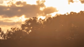 Chevrolet Corvette Z06 es una de las versiones más potentes.