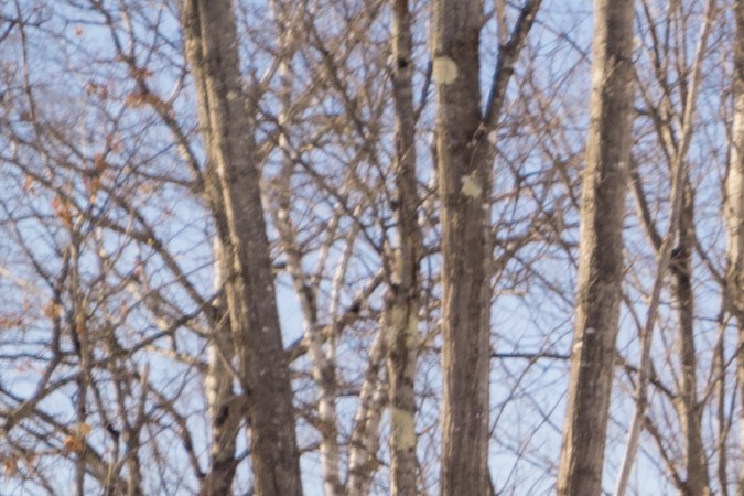 Dodge Charger R/T 2026 tiene fuerza en nieve.