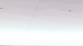 Ford Expedition 30th Anniversary Edition 2027 tiene un acabado único.