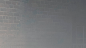 Ford Mustang EcoBoost TLD Signature Edition 2026 por Troy Lee Designs es una obra de arte.