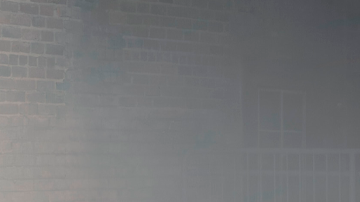 Ford Mustang EcoBoost TLD Signature Edition 2026 por Troy Lee Designs es una obra de arte.