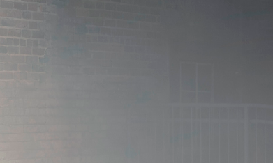 Ford Mustang EcoBoost TLD Signature Edition 2026 por Troy Lee Designs es una obra de arte.