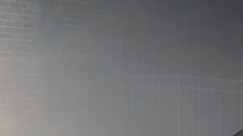 Ford Mustang EcoBoost TLD Signature Edition 2026 por Troy Lee Designs es una obra de arte.