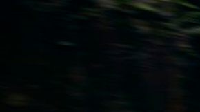 El Honda Prologue tiene un buen rendimiento.