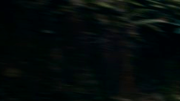 El Honda Prologue tiene un buen rendimiento.