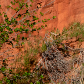 Jeep Cherokee Upland Concept.