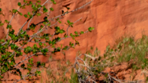 Jeep Cherokee Upland Concept.